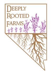 Deeply Rooted Farms
